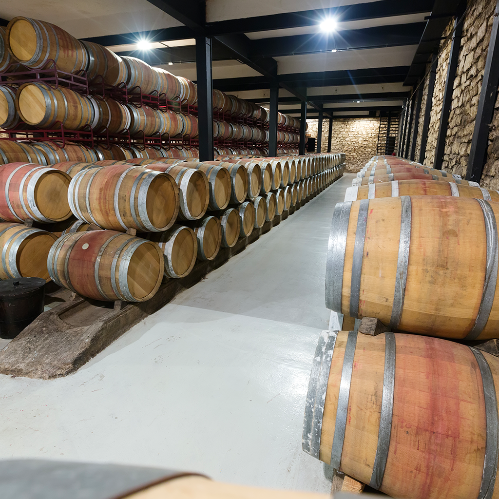 Collezionare il vino