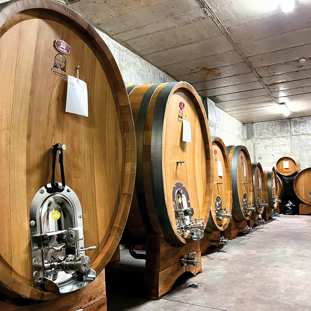 Differenza tra botte e tino