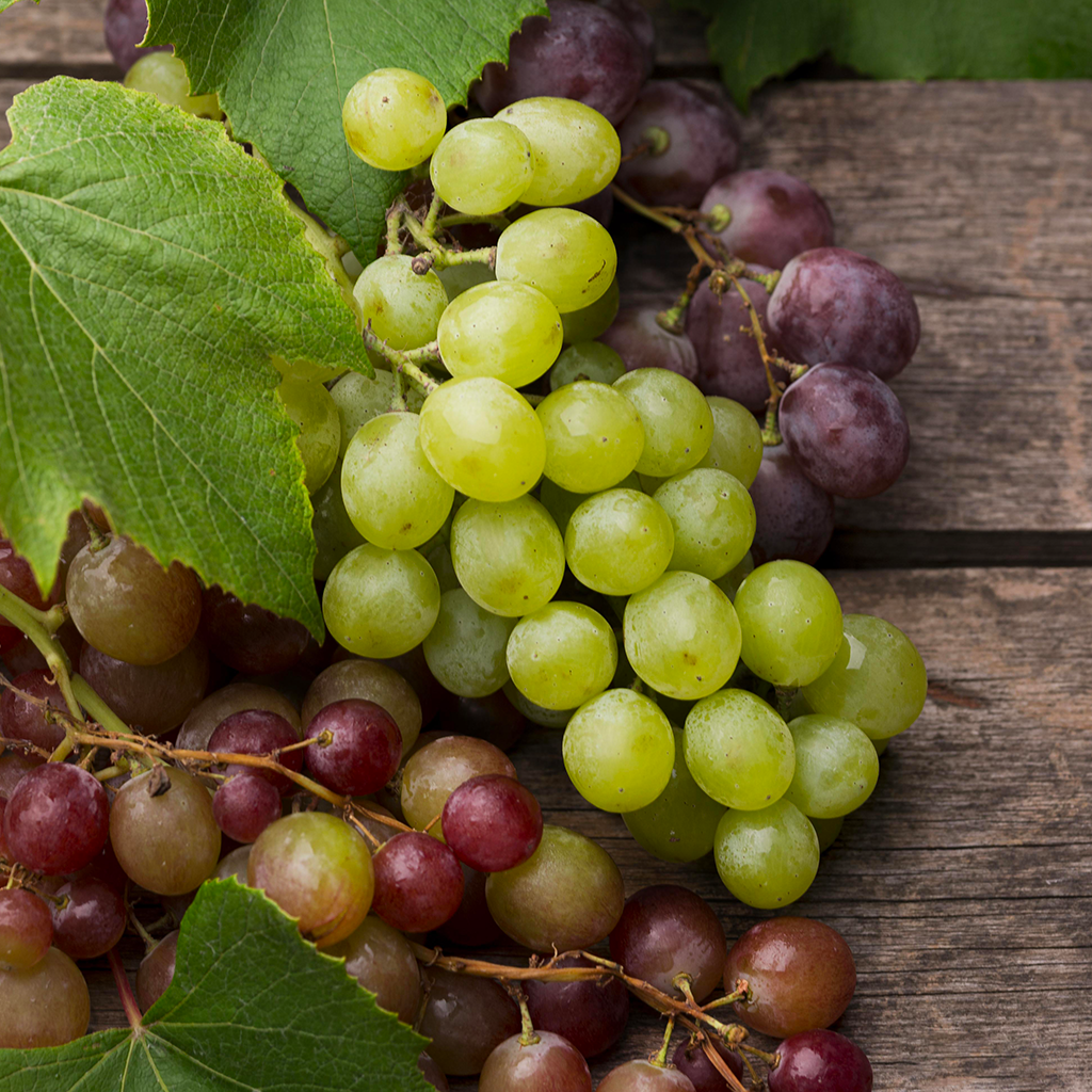 I fattori che determinano il gusto e la qualità del vino
