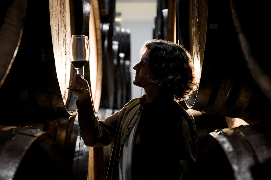 Apprezzare il vino: rAFFINATO il nuovo Blog di Algor