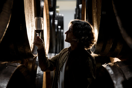 Apprezzare il vino: rAFFINATO il nuovo Blog di Algor