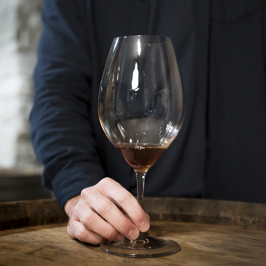 Alla scoperta dell'enologia e della produzione del vino